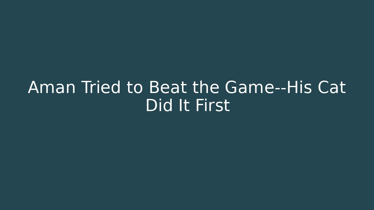 Aman Tried to Beat the Game—His Cat Did It First