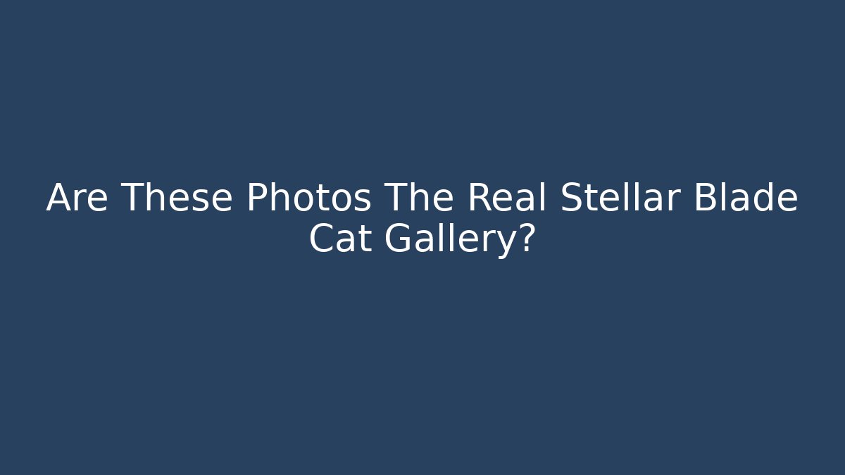 Are These Photos The Real Stellar Blade Cat Gallery?
