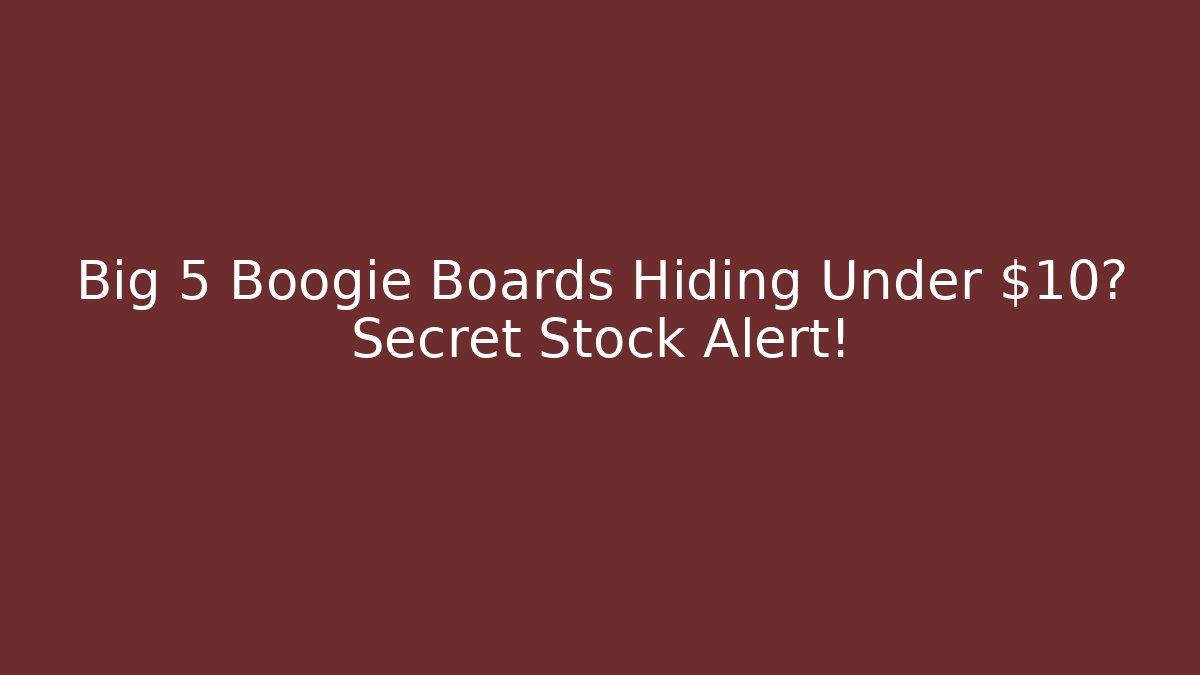 Big 5 Boogie Boards Hiding Under $10? Secret Stock Alert!
