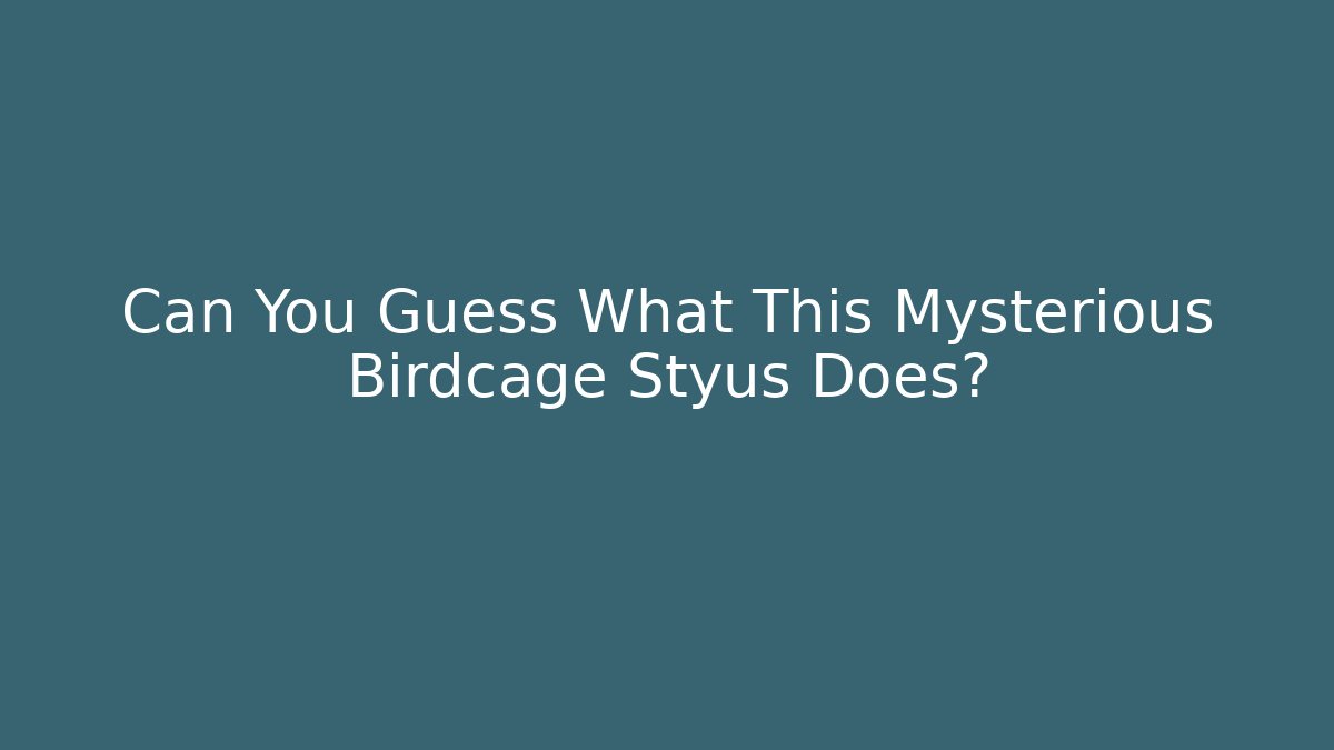Can You Guess What This Mysterious Birdcage Styus Does?