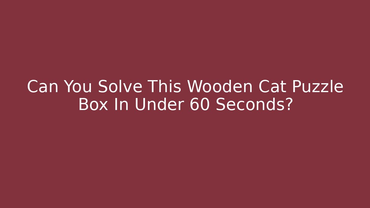 Can You Solve This Wooden Cat Puzzle Box In Under 60 Seconds?