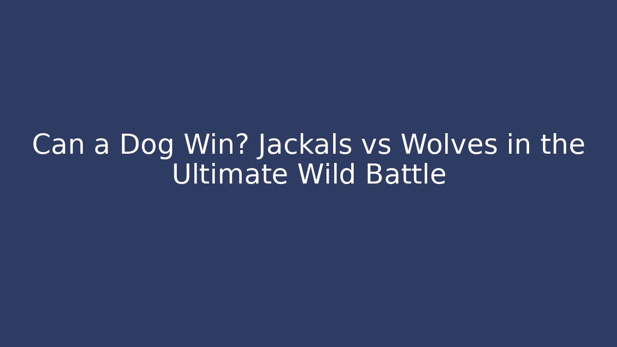 Can a Dog Win? Jackals vs Wolves in the Ultimate Wild Battle