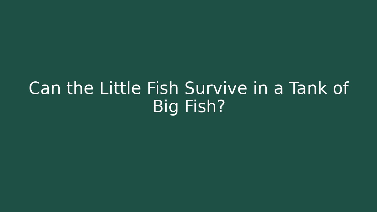 Can the Little Fish Survive in a Tank of Big Fish?