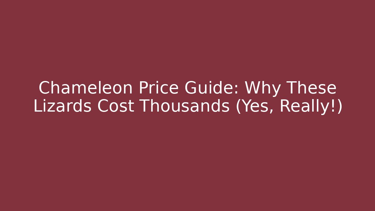 Chameleon Price Guide: Why These Lizards Cost Thousands (Yes, Really!)