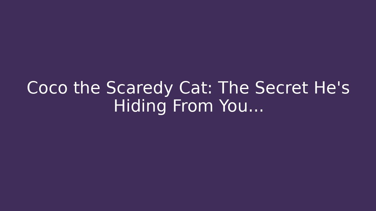 Coco the Scaredy Cat: The Secret He's Hiding From You...