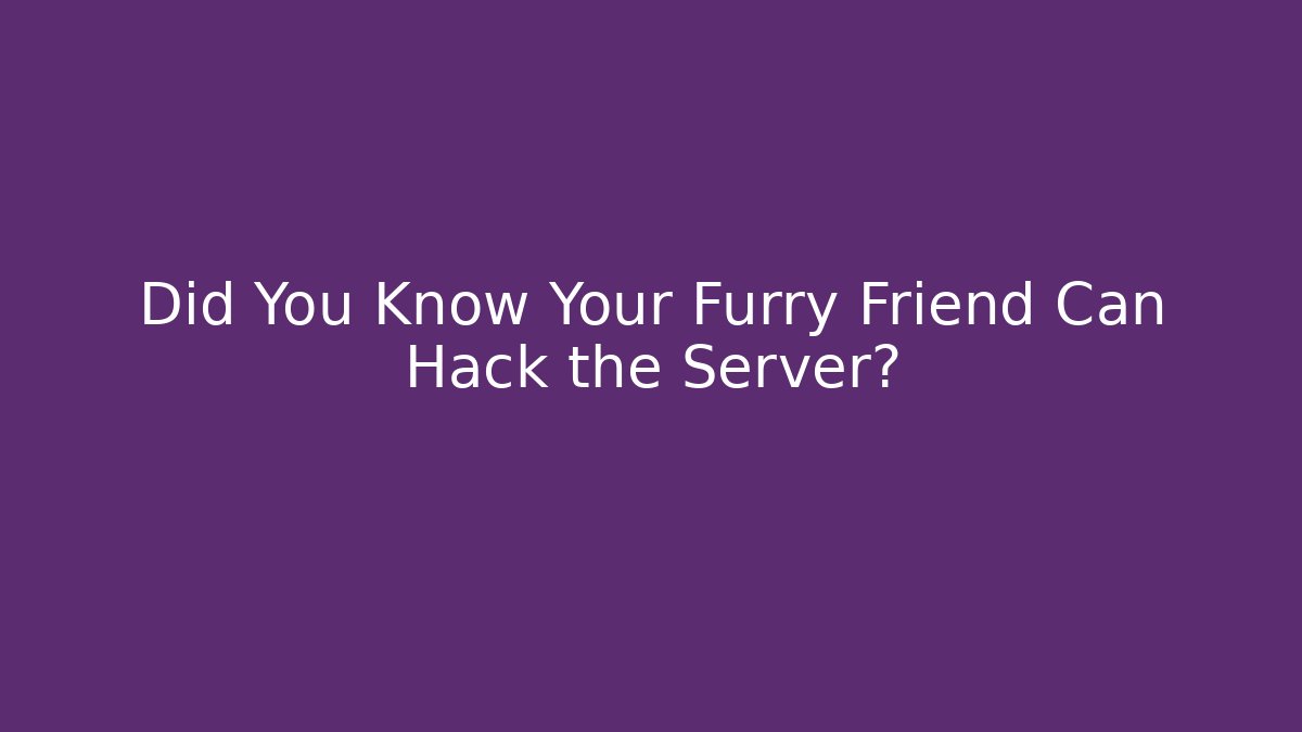 Did You Know Your Furry Friend Can Hack the Server?