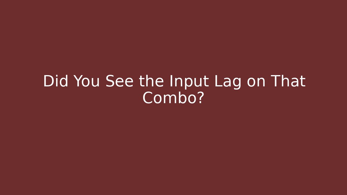 Did You See the Input Lag on That Combo?