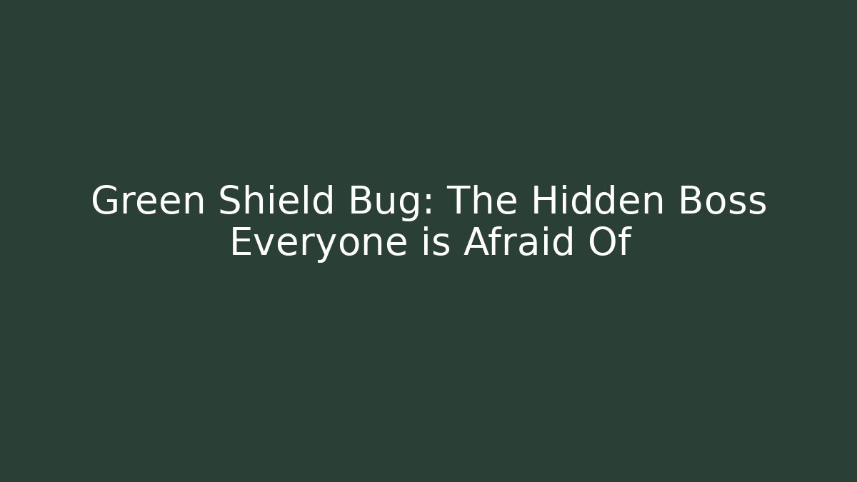 Green Shield Bug: The Hidden Boss Everyone is Afraid Of