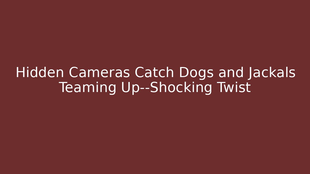 Hidden Cameras Catch Dogs and Jackals Teaming Up—Shocking Twist