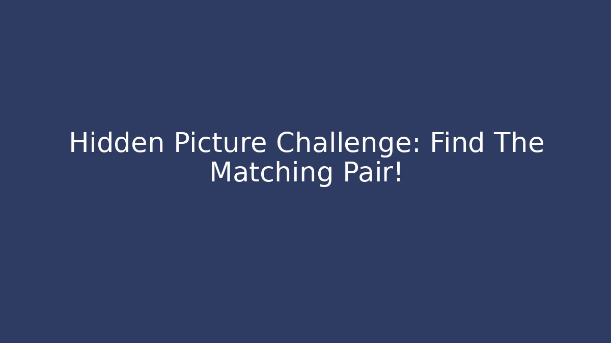 Hidden Picture Challenge: Find The Matching Pair!
