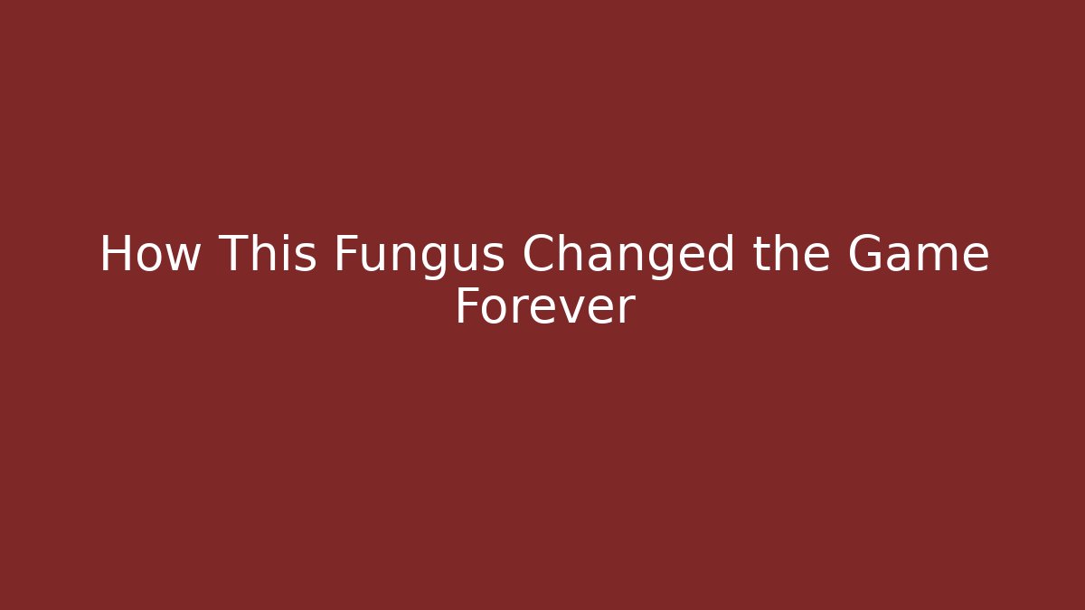 How This Fungus Changed the Game Forever - Boomer Naturals
