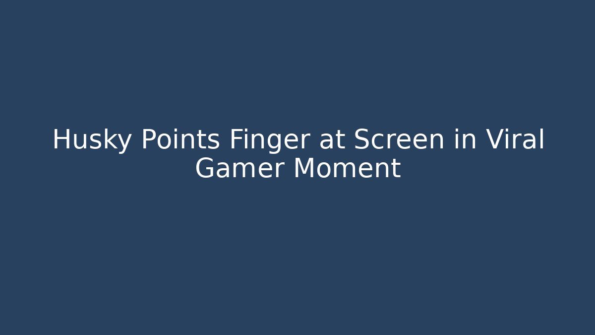 Husky Points Finger at Screen in Viral Gamer Moment