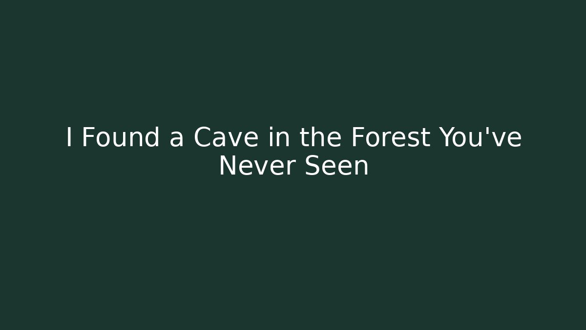 I Found a Cave in the Forest You've Never Seen