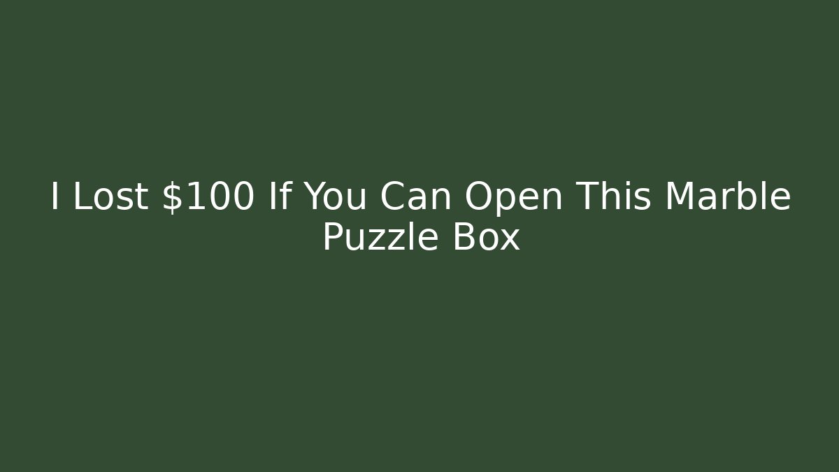 I Lost $100 If You Can Open This Marble Puzzle Box
