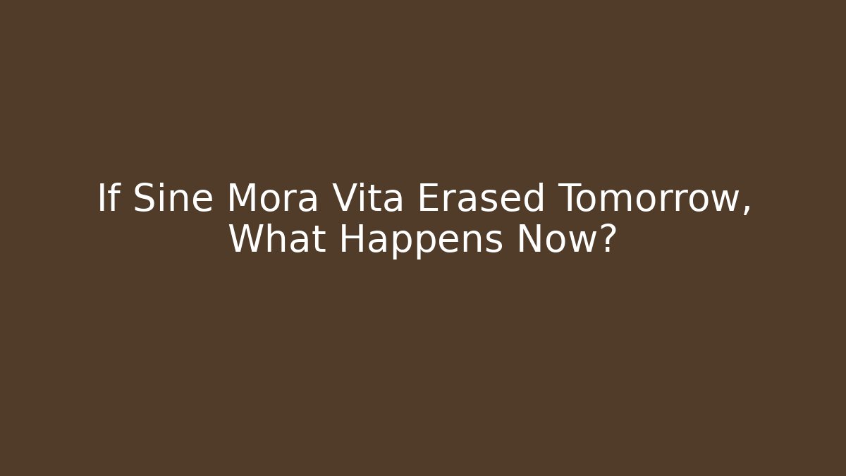 If Sine Mora Vita Erased Tomorrow, What Happens Now?