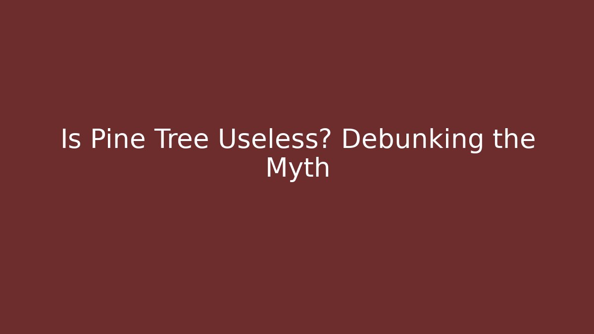 Is Pine Tree Useless? Debunking the Myth - Boomer Naturals