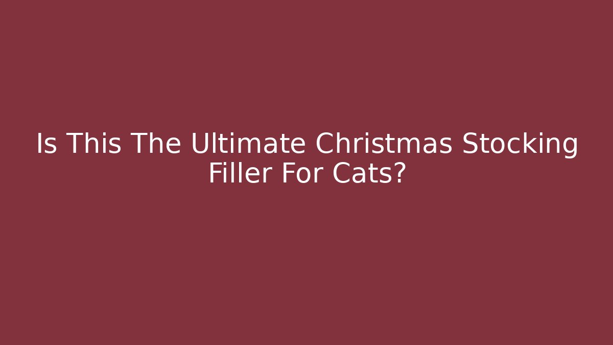 Is This The Ultimate Christmas Stocking Filler For Cats?