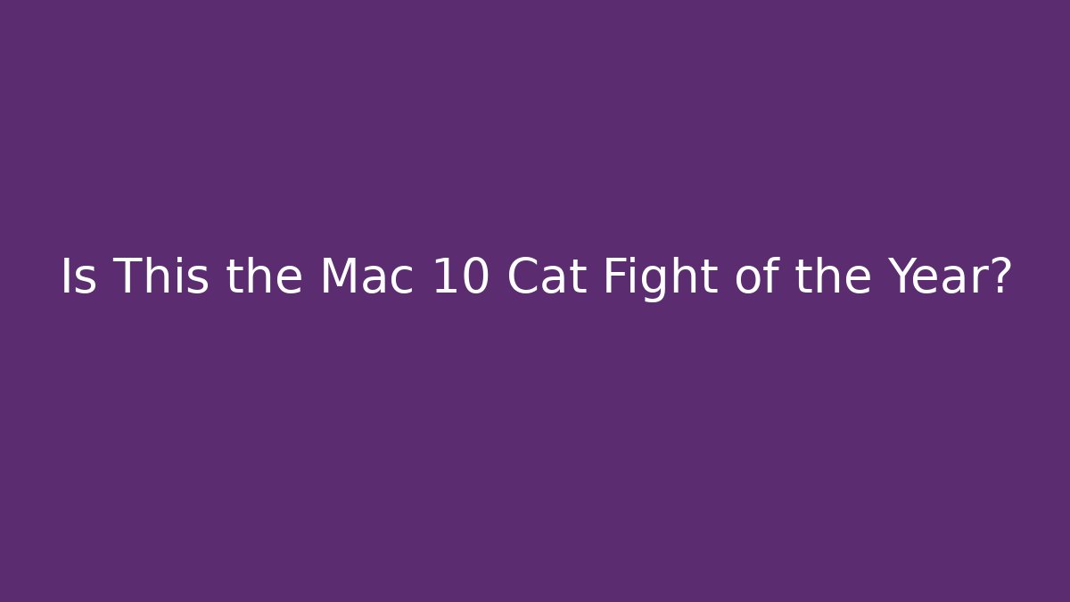 Is This the Mac 10 Cat Fight of the Year?