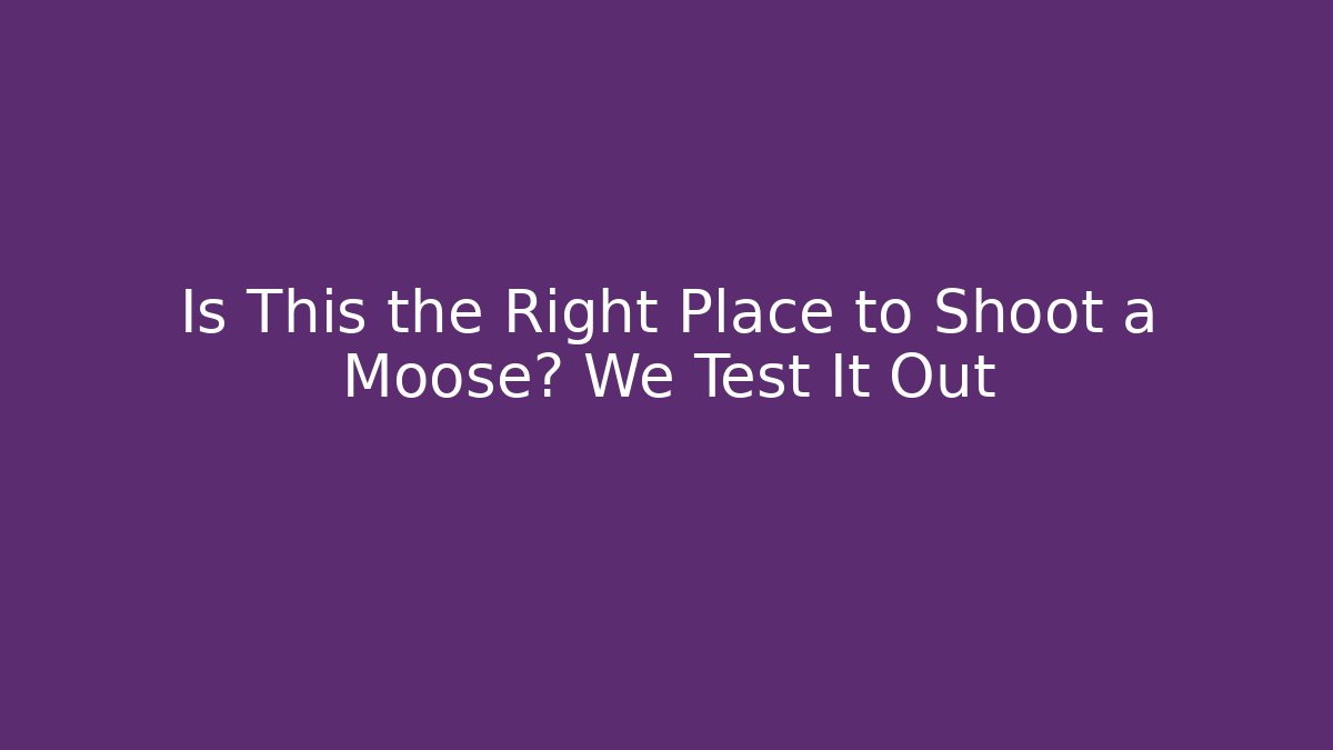 Is This the Right Place to Shoot a Moose? We Test It Out