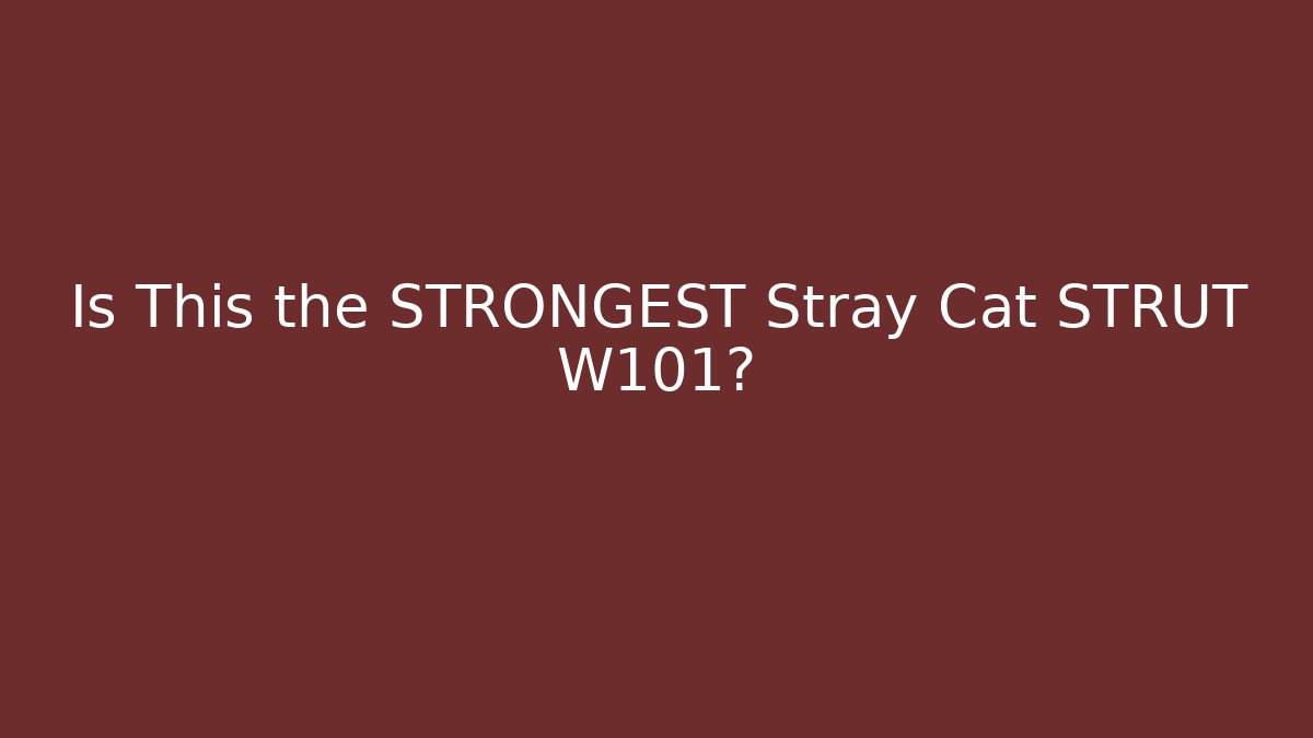 Is This the STRONGEST Stray Cat STRUT W101?