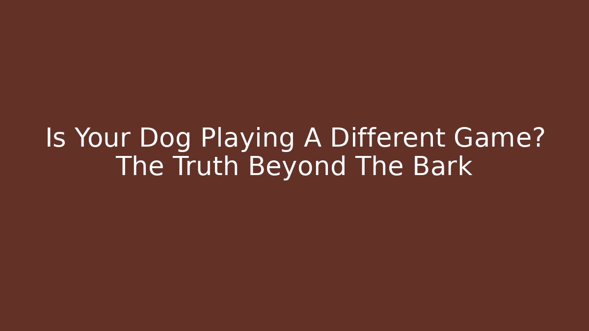 Is Your Dog Playing A Different Game? The Truth Beyond The Bark