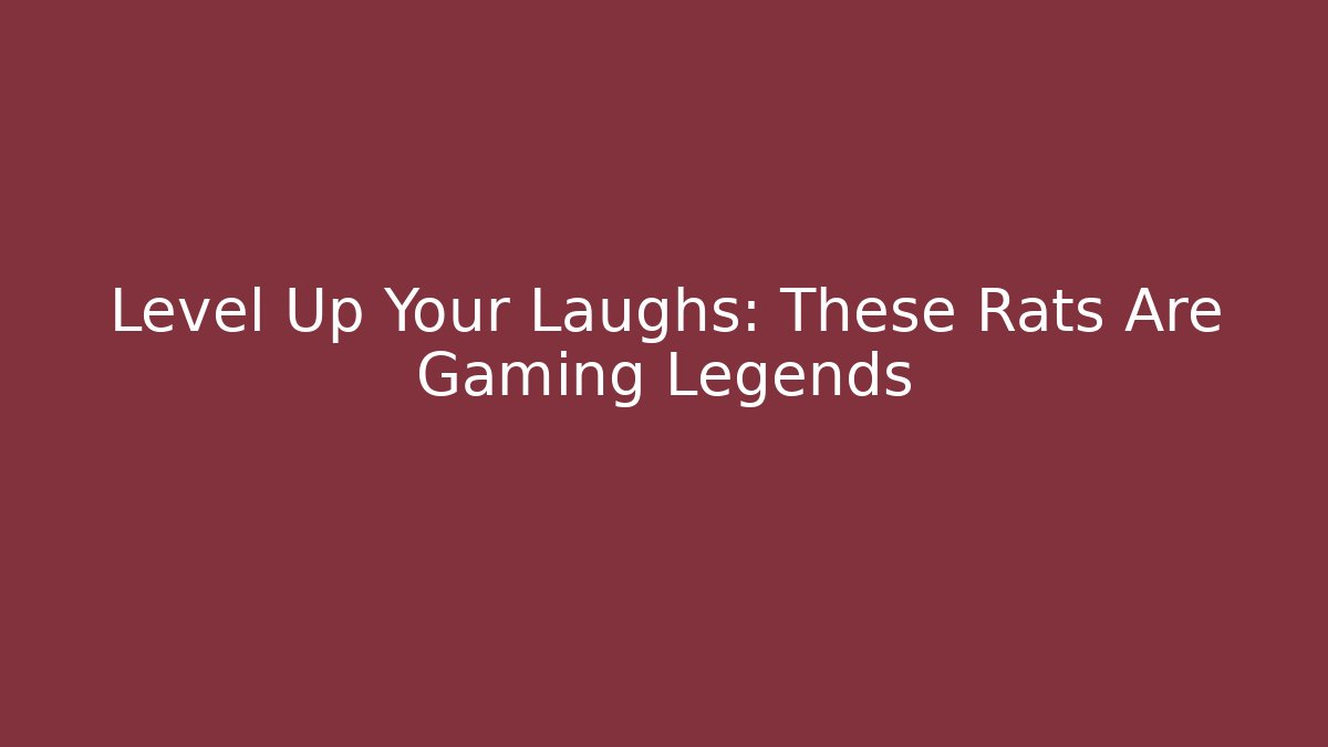 Level Up Your Laughs: These Rats Are Gaming Legends
