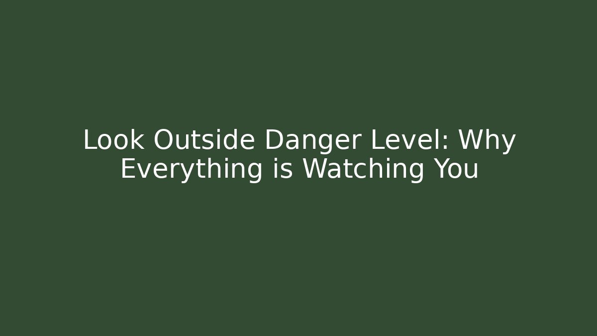 Look Outside Danger Level: Why Everything is Watching You