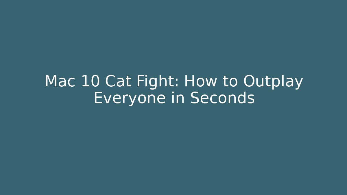Mac 10 Cat Fight: How to Outplay Everyone in Seconds - Boomer Naturals