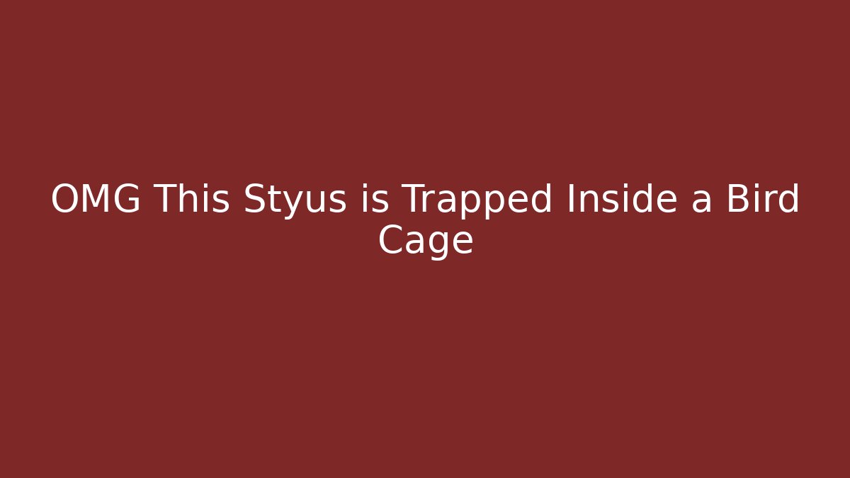 OMG This Styus is Trapped Inside a Bird Cage