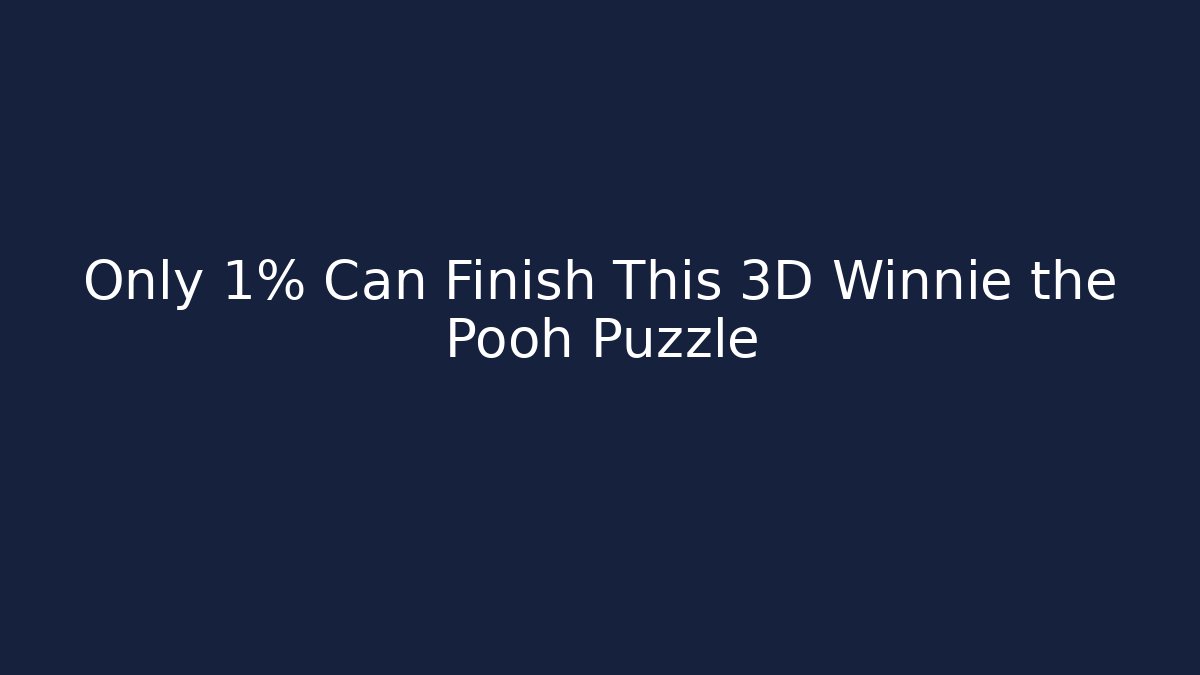 Only 1% Can Finish This 3D Winnie the Pooh Puzzle