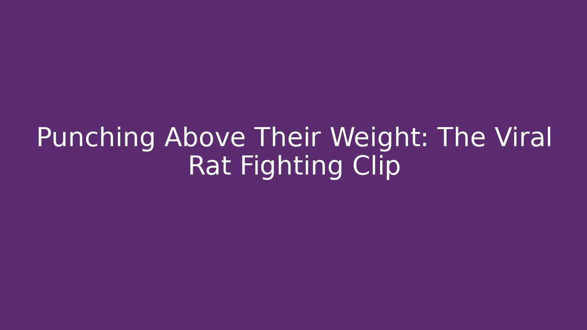 Punching Above Their Weight: The Viral Rat Fighting Clip