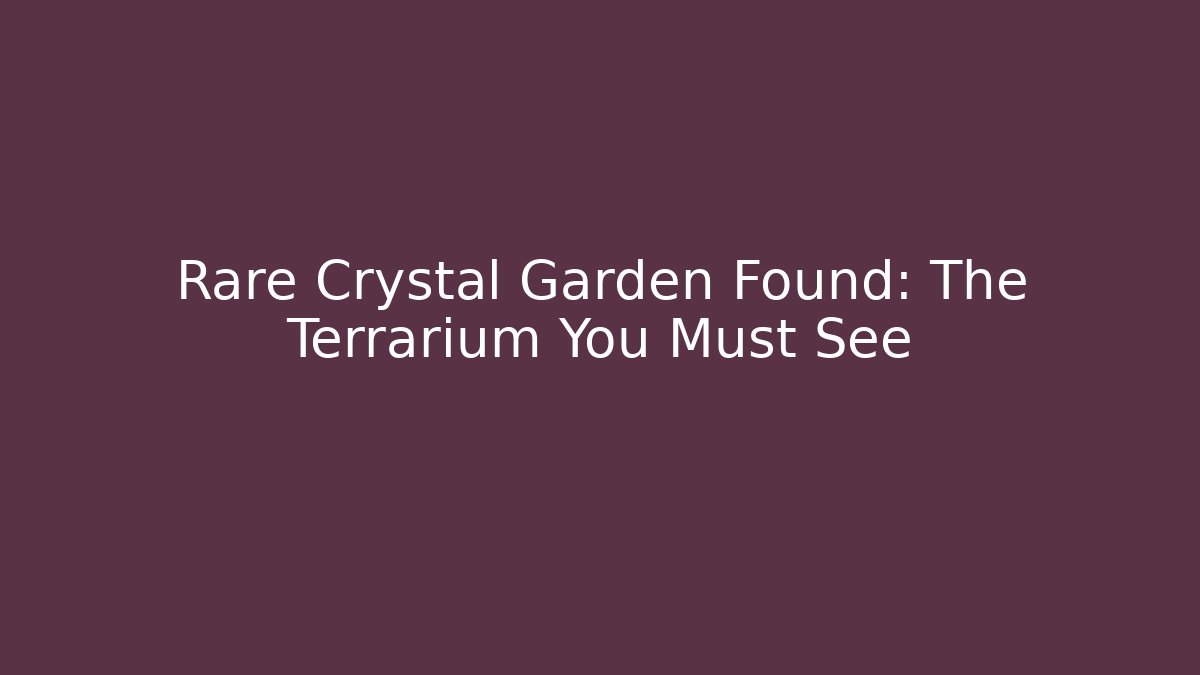 Rare Crystal Garden Found: The Terrarium You Must See
