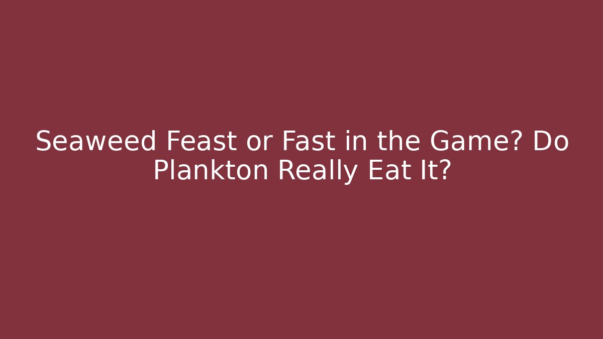 Seaweed Feast or Fast in the Game? Do Plankton Really Eat It?