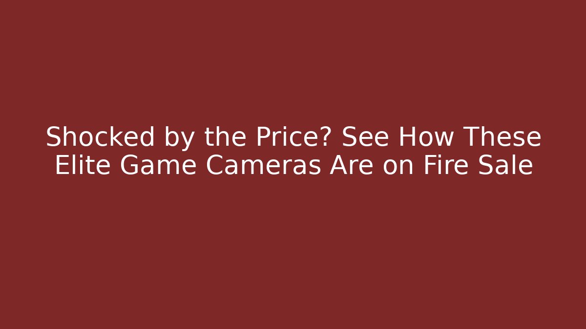 Shocked by the Price? See How These Elite Game Cameras Are on Fire Sale - Boomer Naturals