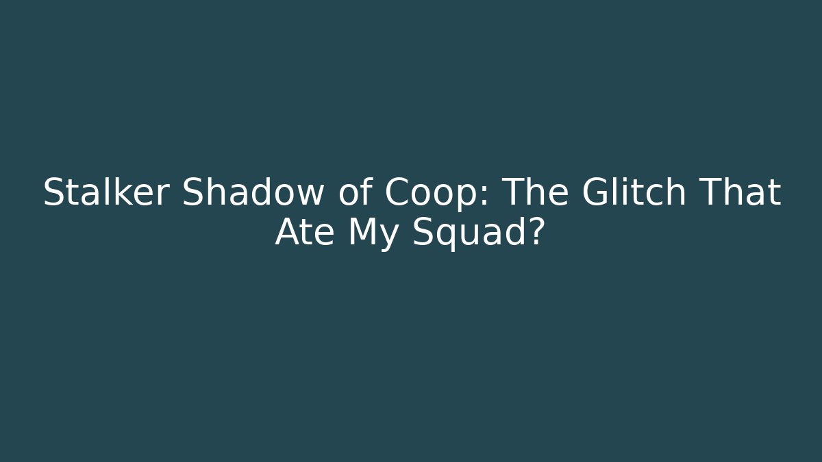 Stalker Shadow of Coop: The Glitch That Ate My Squad?