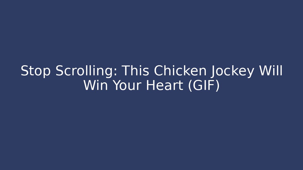 Stop Scrolling: This Chicken Jockey Will Win Your Heart (GIF)