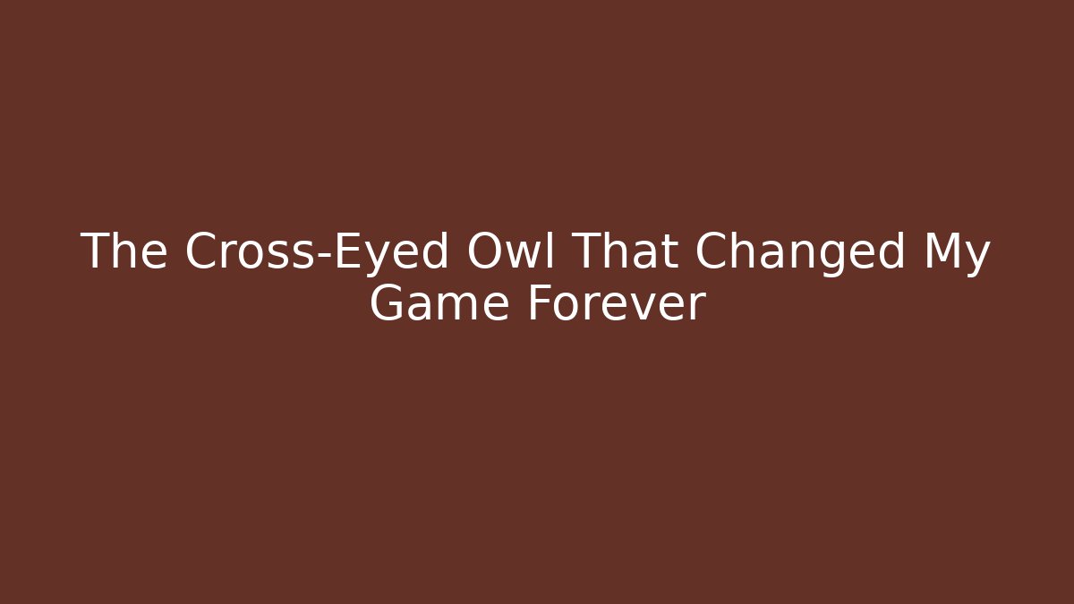 The Cross-Eyed Owl That Changed My Game Forever