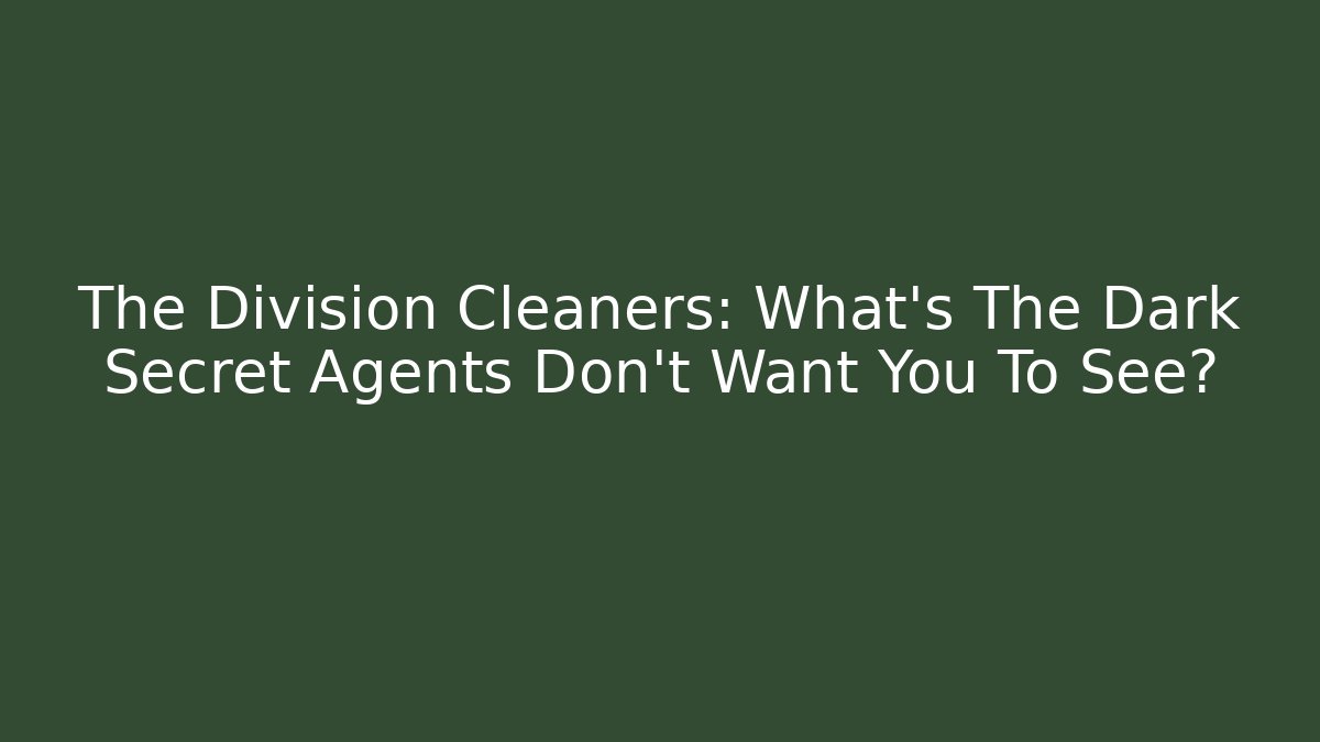 The Division Cleaners: What’s The Dark Secret Agents Don’t Want You To See?