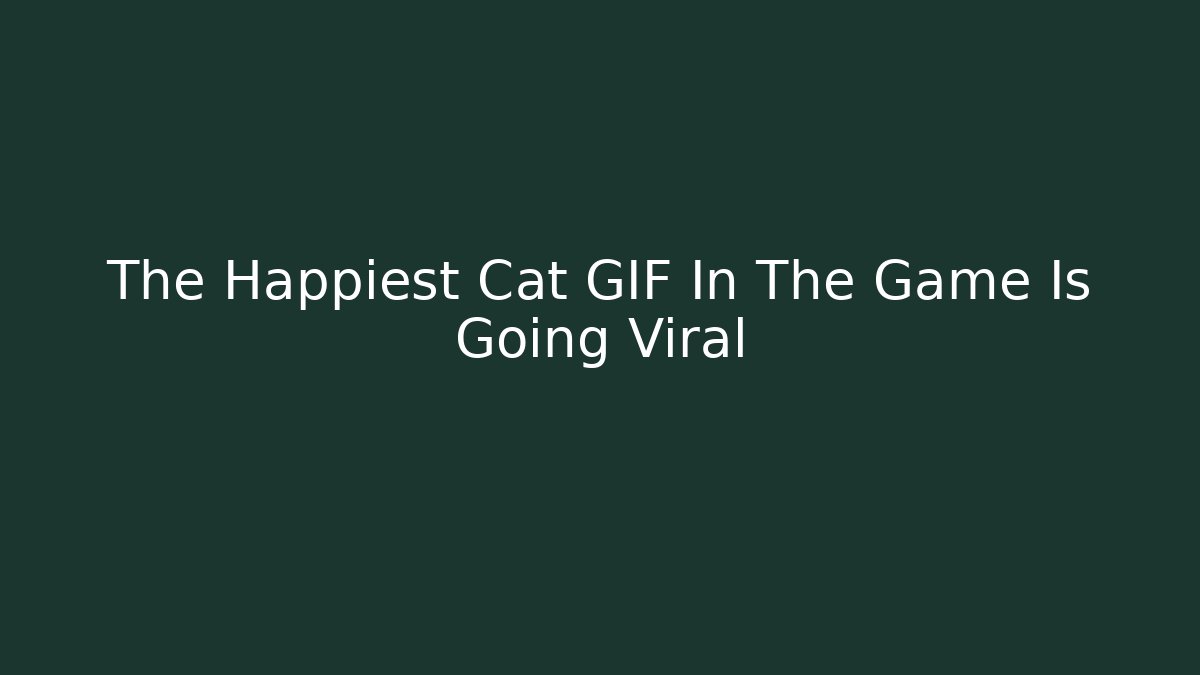 The Happiest Cat GIF In The Game Is Going Viral