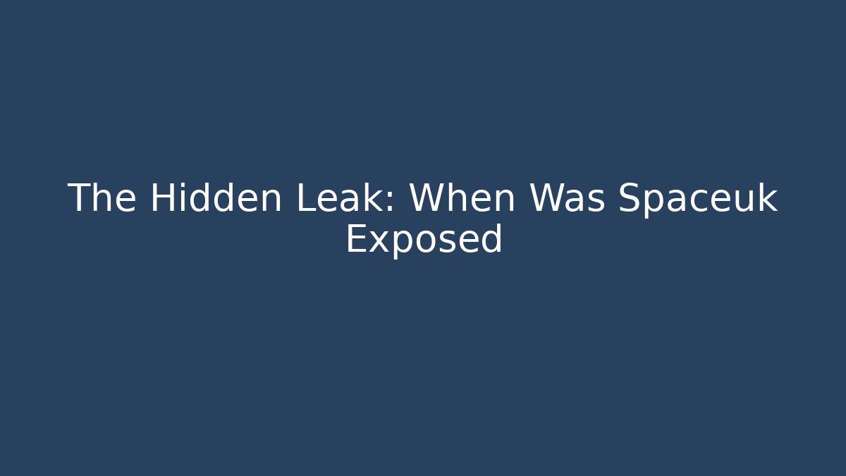 The Hidden Leak: When Was Spaceuk Exposed