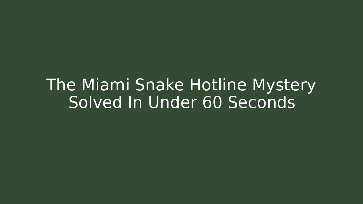 The Miami Snake Hotline Mystery Solved In Under 60 Seconds