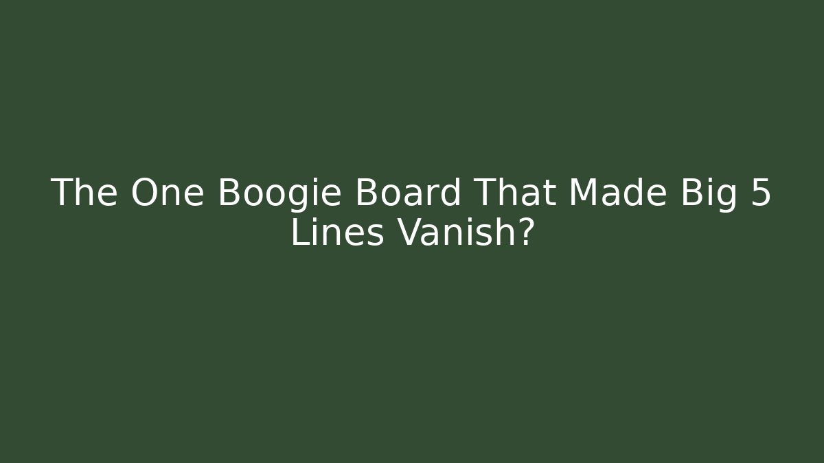 The One Boogie Board That Made Big 5 Lines Vanish?