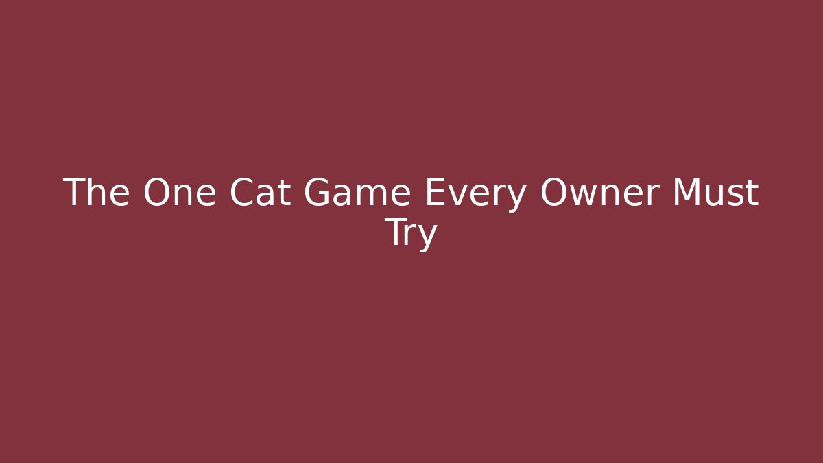 The One Cat Game Every Owner Must Try - Boomer Naturals
