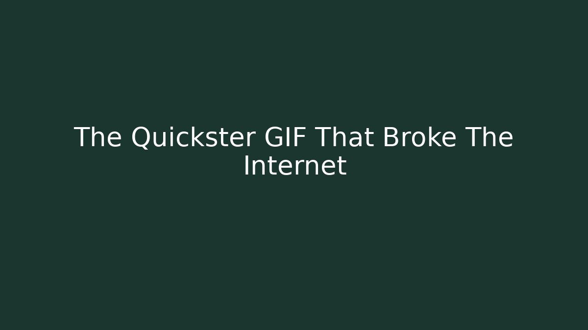 The Quickster GIF That Broke The Internet