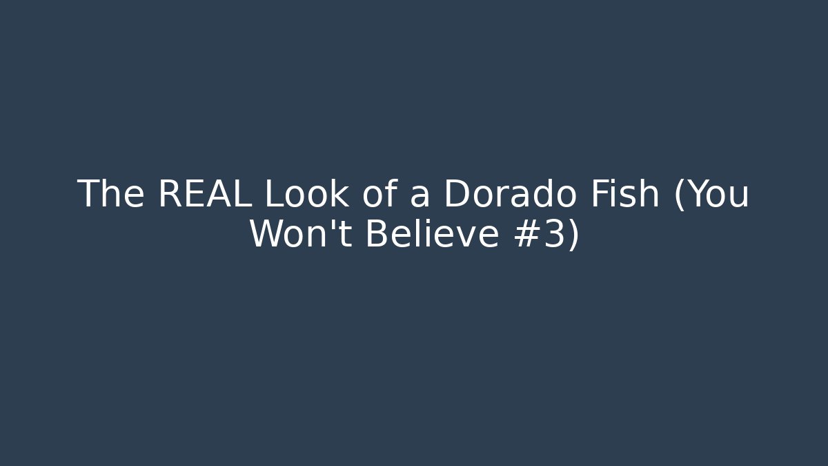 The REAL Look of a Dorado Fish (You Won't Believe #3)