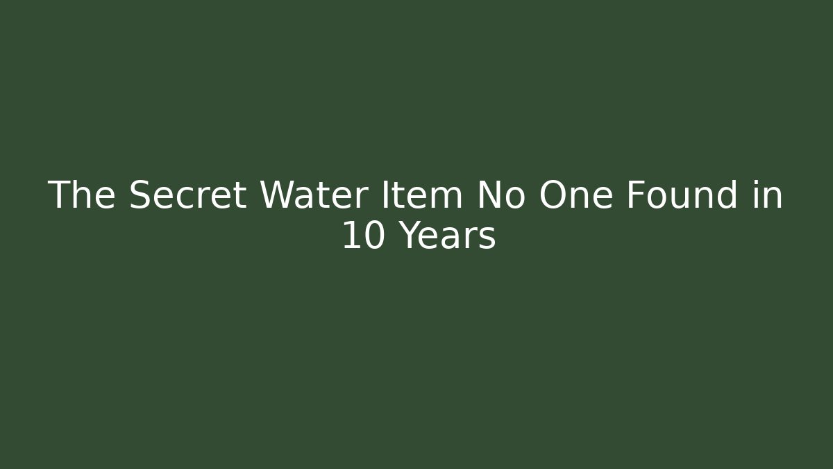 The Secret Water Item No One Found in 10 Years