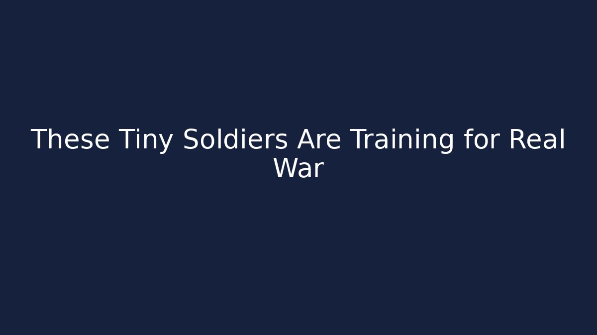 These Tiny Soldiers Are Training for Real War