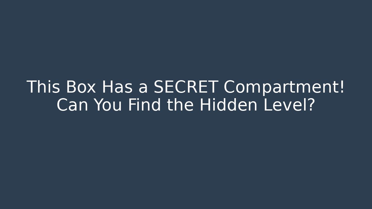 This Box Has a SECRET Compartment! Can You Find the Hidden Level?