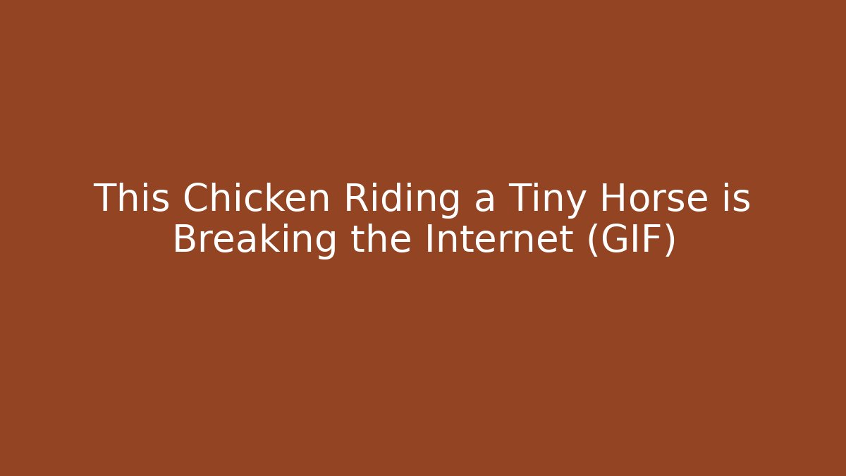 This Chicken Riding a Tiny Horse is Breaking the Internet (GIF)
