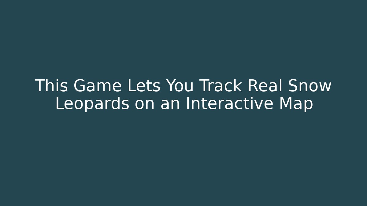This Game Lets You Track Real Snow Leopards on an Interactive Map